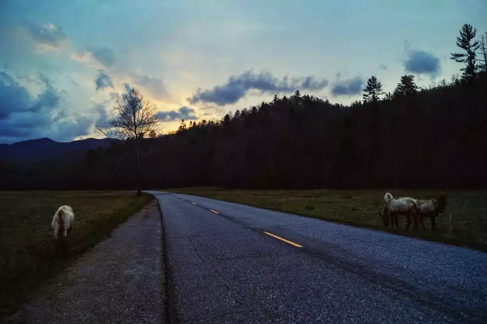 sunset cataloochee