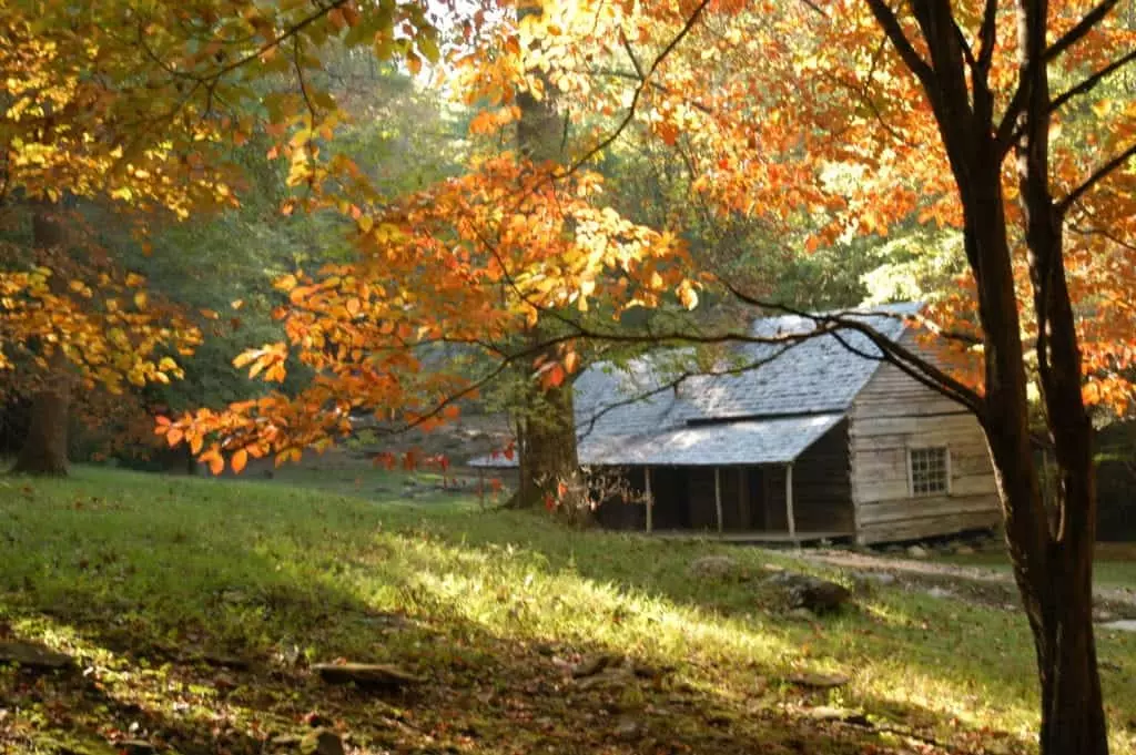 Roaring Fork in the Fall