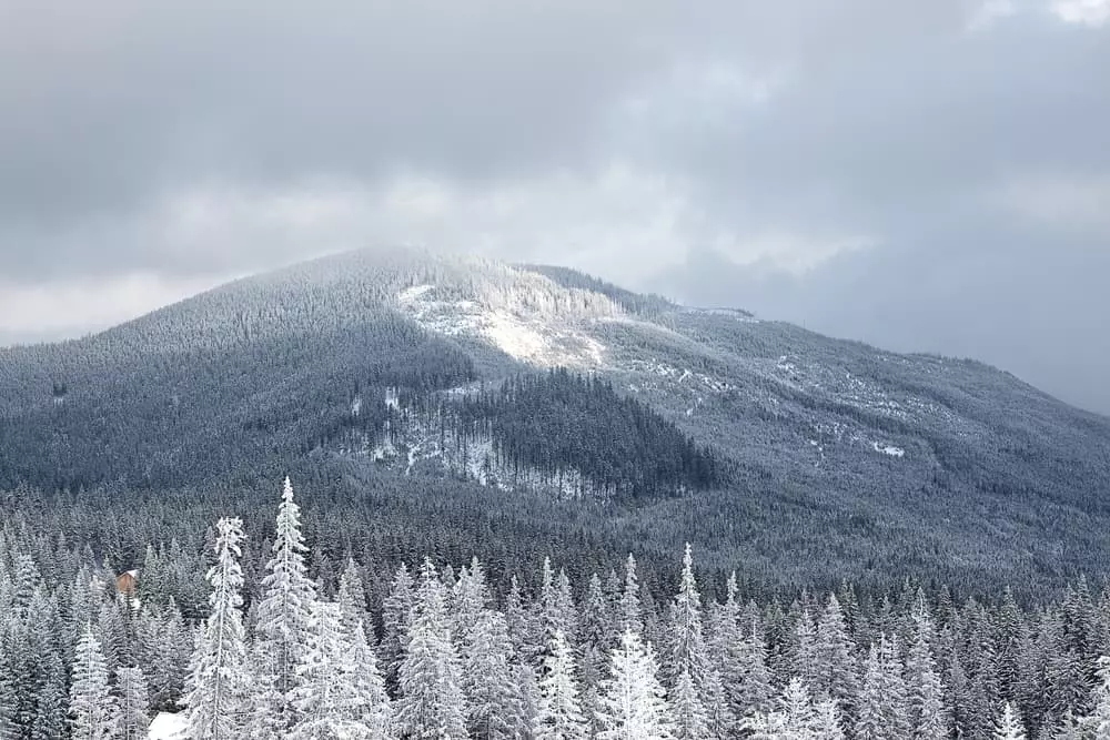snow in the Smoky Mountains