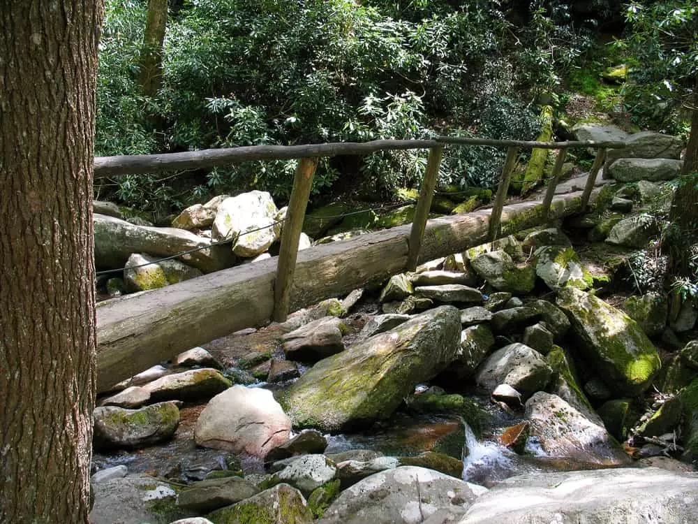 Rainbow Falls Trail footbridge