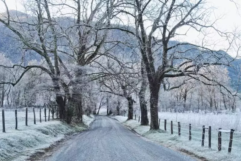 Cades Cove Loop Winter
