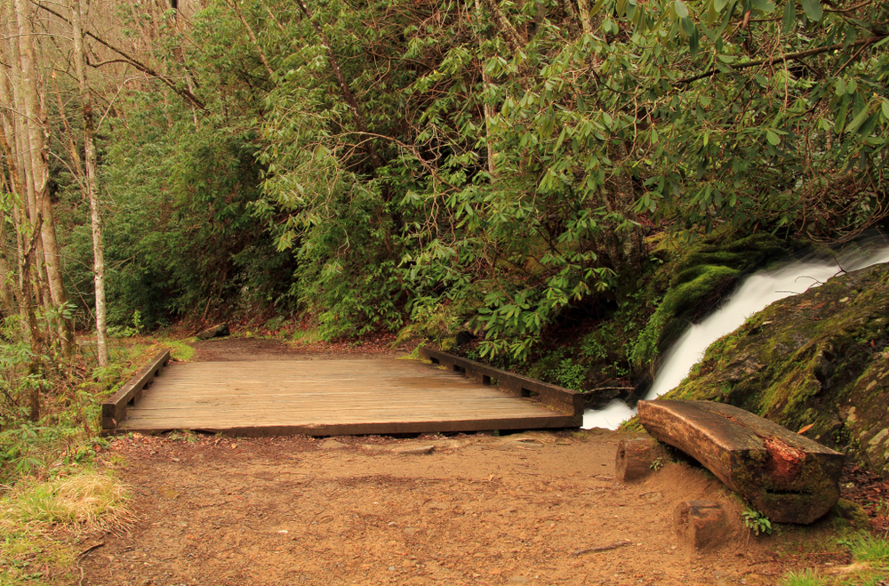 little river trail elkmont