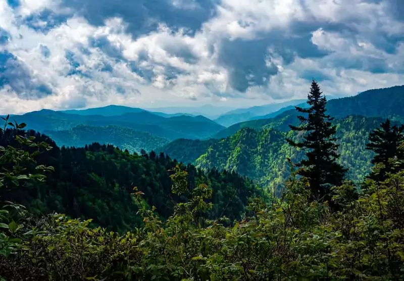 spring in the Smoky Mountains