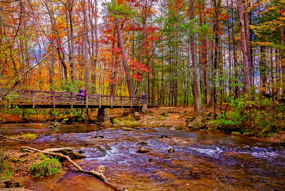 cades cove trail to abrams falls