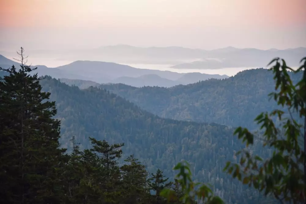 LeConte 