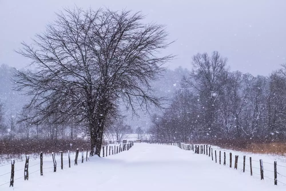 snowfall in Cades Cove 