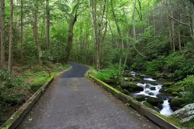 Roaring Fork Motor Nature Trail