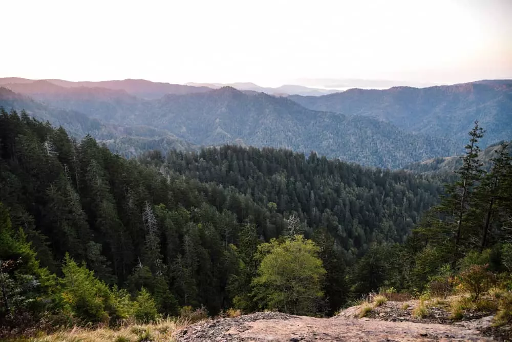 mount leconte in the smoky mountains