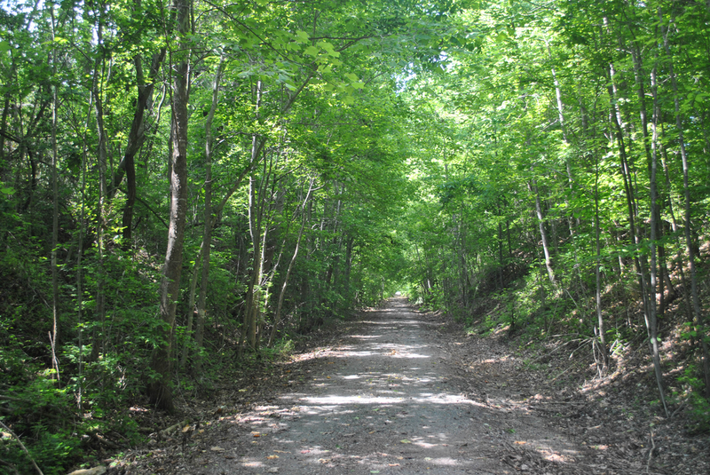 way to spence cabin