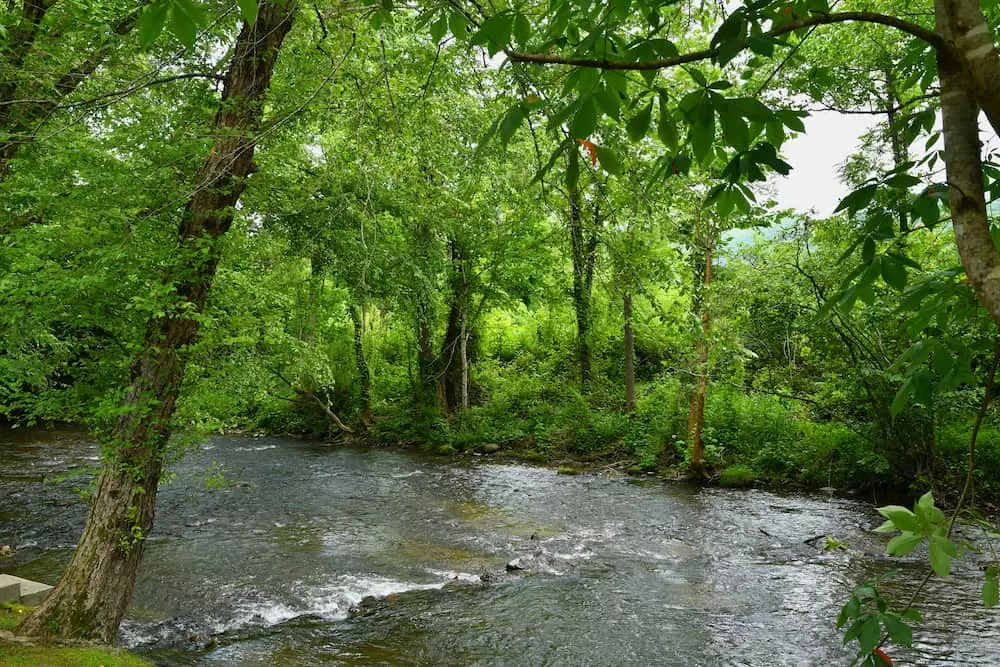 river in the smokies