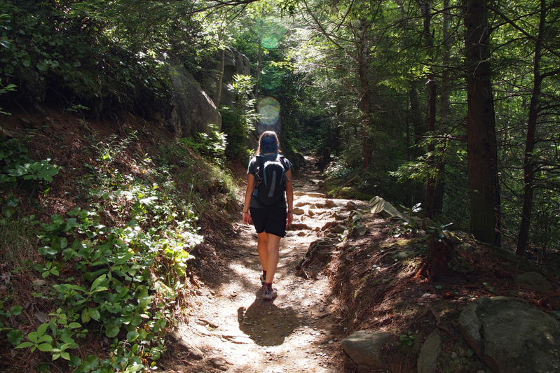 hiking in the great smoky mountains national park