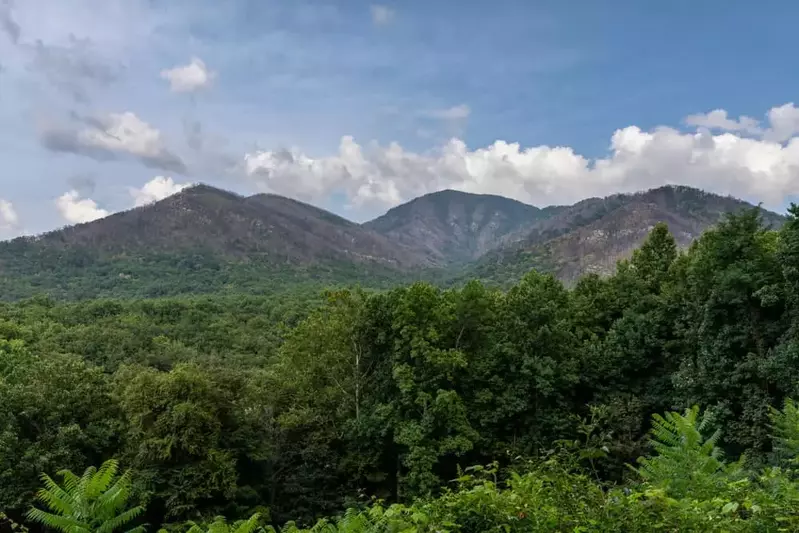 Newfound Gap 